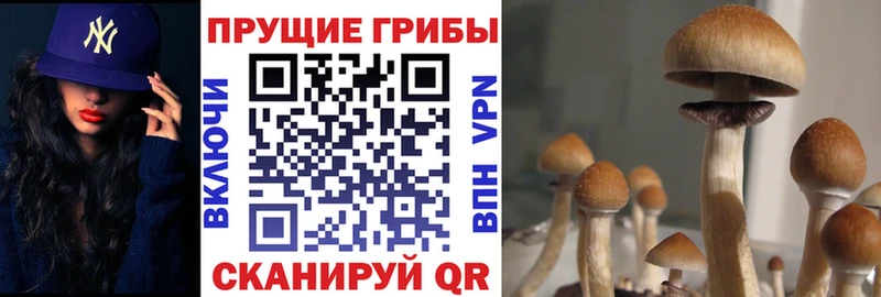 Галлюциногенные грибы GOLDEN TEACHER  купить   блэк спрут вход  Серпухов 
